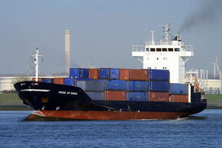 山東臨沂至海南三亞原料國內(nèi)海運及貨運代理服務(wù)解析